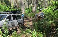 10-Dora needs a little help on the Deddick Trail